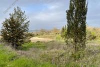 3266 SQM Land · Stroumbi (Paphos) for sale 