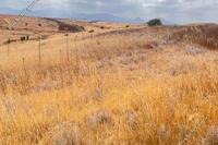 15720 SQM Land in Potami (Nicosia) for sale 