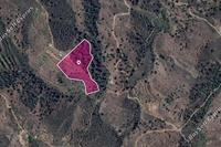 15720 SQM Land · Agios Georgios Kafkallou (Nicosia) for sale 