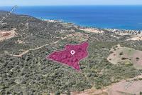 7210 SQM Land in Baths of Aphrodite (Paphos) for sale 