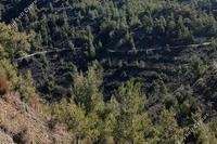 9700 SQM Land in Louvaras (Limassol) for sale 