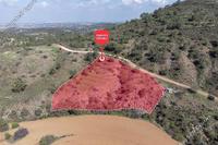5714 SQM Land · Fikardou (Nicosia) for sale 