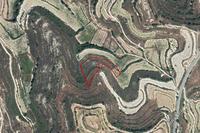 4181 SQM Land · Pachna (Limassol) for sale 