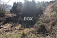 7024 SQM Land in Silikou (Limassol) for sale 