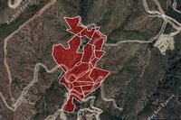 59205 SQM Land in Ora (Larnaca) for sale 