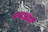 33446 SQM Land in Amargeti (Paphos) for sale 