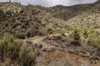 4683 SQM Land · Ora (Larnaca) for sale 
