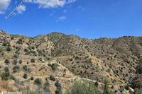 3345 SQM Land · Ora (Larnaca) for sale 