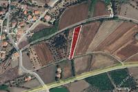2369 SQM Land in Linou (Nicosia) for sale 