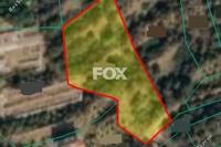 3210 SQM Land · Pomos (Paphos) for sale 