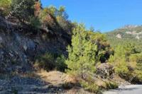 7486 SQM Land · Pelendri (Limassol) for sale 