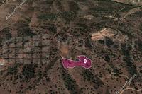9700 SQM Plot in Gourri (Nicosia) for sale 