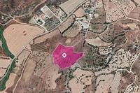 14382 SQM Land in Nata (Paphos) for sale 