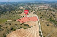 9709 SQM Land in Pachna (Limassol) for sale 