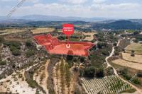 5352 SQM Land in Stroumbi (Paphos) for sale 