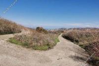 7024 SQM Land in Stroumbi (Paphos) for sale 