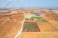 9384 SQM Land in Avgorou (Famagusta) for sale 
