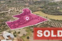 23414 SQM Land in Agios Theodoros Larnacas (Larnaca) for sale 