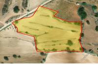9700 SQM Plot in Pachna (Limassol) for sale 