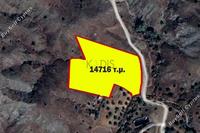 14716 SQM Land in Alampra (Nicosia) for sale 