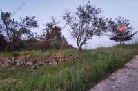 4598 SQM Land in Lysos (Paphos) for sale 