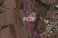 13000 SQM Land in Anarita (Paphos) for sale 