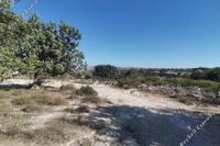 10368 SQM Land · Peyia (Paphos) for sale 