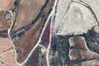 1125 SQM Land in Pachna (Limassol) for sale 