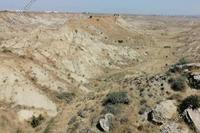 3345 SQM Land in Pera Orinis (Nicosia) for sale 