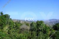 10527 SQM Land · Stroumbi (Paphos) for sale 