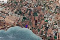 24081 SQM Land in Timi (Paphos) for sale 
