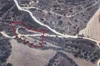 4014 SQM Land · Tsada (Paphos) for sale 