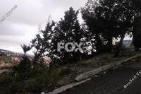 1160 SQM Plot · Kamares Tala (Paphos) for sale 