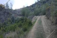 58529 SQM Land · Korakou (Nicosia) for sale 