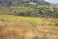 5770 SQM Land · Pachna (Limassol) for sale 