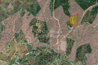 11037 SQM Land in Agios Epifanios Oreinis (Nicosia) for sale 