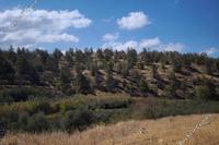 13713 SQM Land · Vyzakia (Nicosia) for sale 