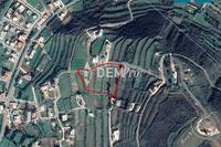 8631 SQM Land in Pomos (Paphos) for sale 
