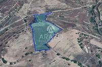 27760 SQM Land in Dora (Limassol) for sale 