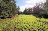 5352 SQM Land · Shia (Nicosia) for sale 