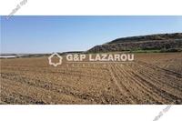 8173 SQM Land · Dali (Nicosia) for sale 