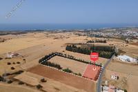 4000 SQM Land · Kouklia Pafou (Paphos) for sale 