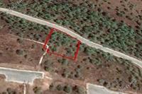1967 SQM Land in Kornos (Larnaca) for sale 