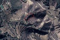 5400 SQM Land in Giolou (Paphos) for sale 