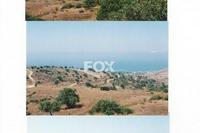 12710 SQM Land · Tala (Paphos) for sale 