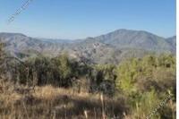 6393 SQM Land in Kinousa (Paphos) for sale 