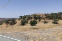 3679 SQM Land in Statos Agios Fotios (Paphos) for sale 