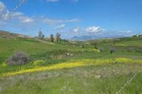 3684 SQM Land · Palaiometocho (Nicosia) for sale 