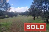 1877 SQM Land · Lythrodontas (Nicosia) for sale 