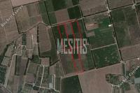 39744 SQM Land in Akrotiri (Limassol) for sale 